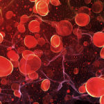 Red blood cells1